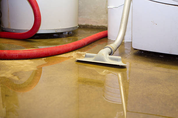 Best Water damage cleanup near me  in Sloatsburg, NY